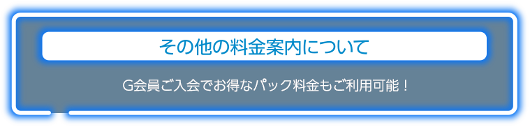 その他の料金案内について